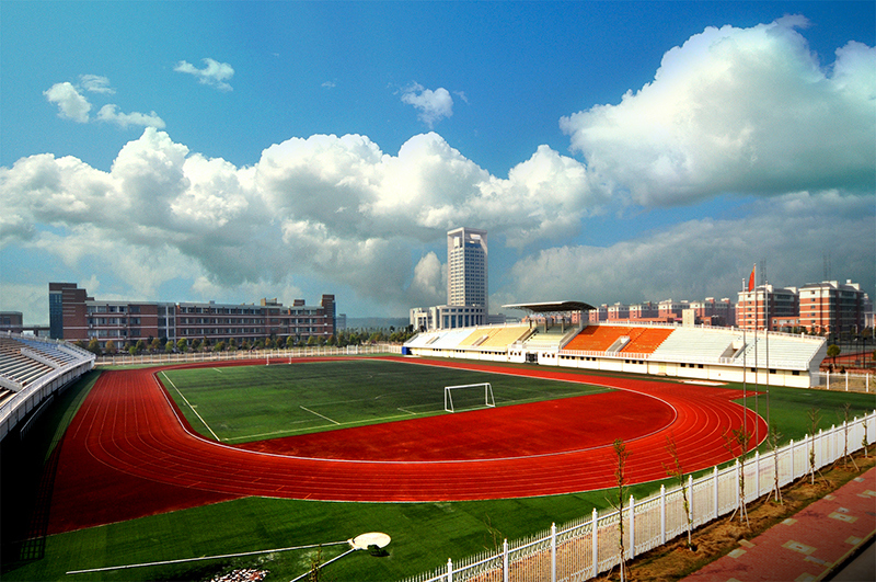 Sports Stadium